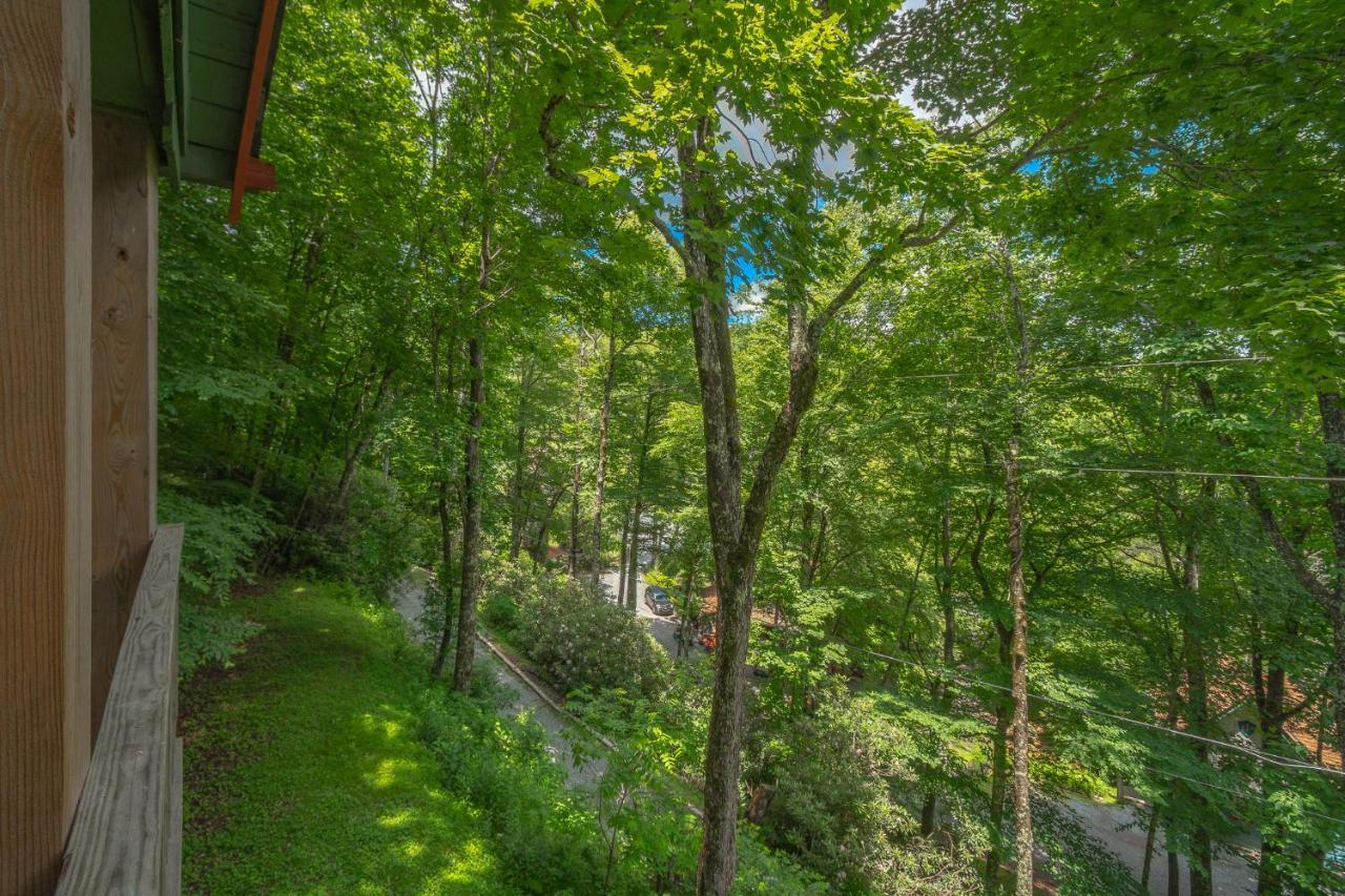 Swiss Mountain Village Blowing Rock Exterior foto